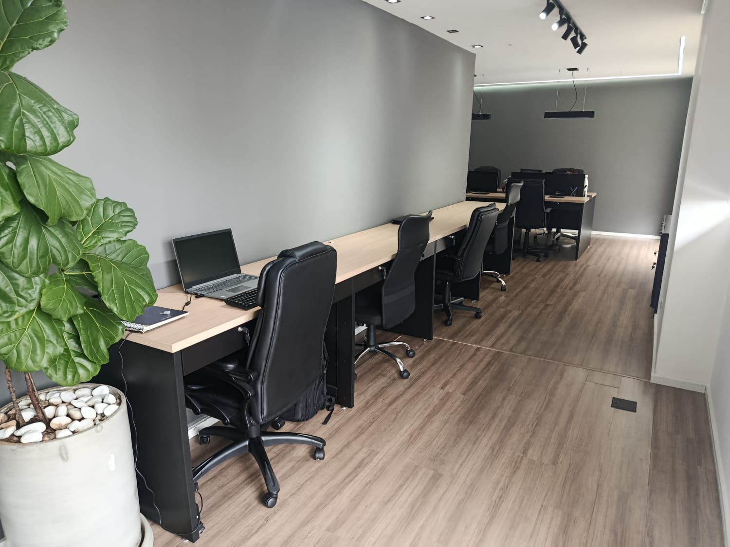 Biblioteca Jurídica